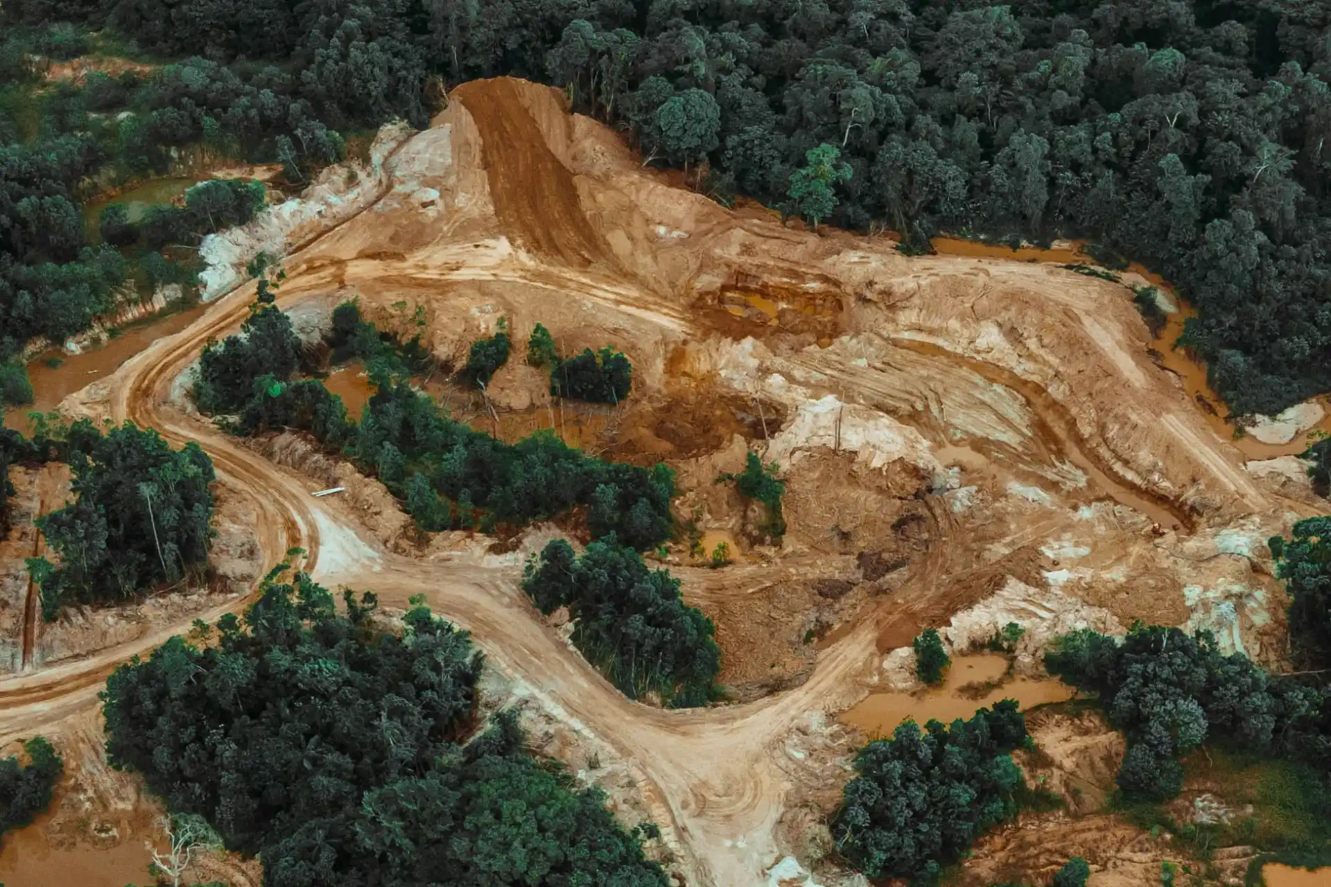 A Fragile Balance Within Earth’s Living Ecosystems